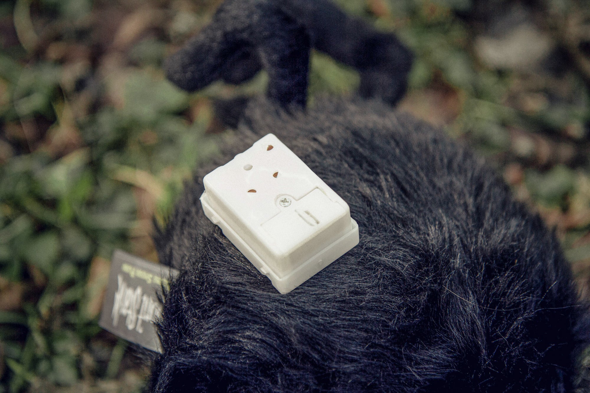 Don't Starve: Spider Plush (Black) V2.0 - Image 4